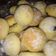 Cooksnap dari Agung Tristianto untuk resep Mini Burger Bun