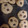 El cooksnap de smunzberg cuando hizo Galletas de avena, chocolate y coco 🍪.