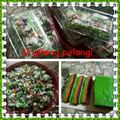 Cooksnap dari Unie Chahlamoungan'zasley untuk resep Kue lapis singkong