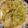 Misty Bass's cooksnap of when they made Chicken Enchiladas (white sauce).