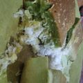 Cooksnap dari Selma Gusmira untuk resep Martabak manis teflon a.k.a terang bulan