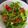 Helga 's cooksnap of when they made Spargel-Erdbeer-Salat mit Rucola.