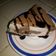 La cooksnap de Sid Maldonado cuando cocinó Cheesecake de coco