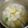 簡敏慧 的 清甜の蘿蔔玉米排骨湯 cooksnap