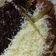 Cooksnap dari najma untuk resep Bolu jadul super lembut
