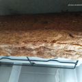El cooksnap de Barbara Soledad Torres cuando hizo Budín de Banana.