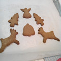 El cooksnap de grigorovasilviya cuando hizo Galletas de canela y jengibre.