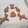 El cooksnap de grigorovasilviya cuando hizo Galletas de canela y jengibre.