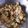 Charusheela Prabhu's cooksnap of when they made उपवासाची बटाटा भाजी (Upwasachi Batata Bhaji Recipe In Marathi).