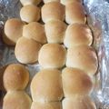  David's cooksnap of when they made Dinner Rolls.