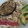 El cooksnap de silvia cuando hizo Berenjenas rellenas rápidas en el microondas: Batch cooking saludable.