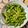 Cooksnap dari Roro Woelan untuk resep Garlic Edamame!