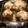 campion's cooksnap of when they made Stuffed green bell peppers.