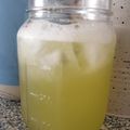 El cooksnap de Bibi García cuando hizo Limonada con apio 🥤🍋.
