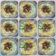 Cooksnap dari Retno Imut untuk resep Rice Bowl Cumi Pedas Manis