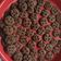 Cooksnap dari Zhahara untuk resep Good time renyahh