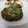 El cooksnap de Make Martin cuando hizo Hamburguesas verdes (de espinacas y pollo).