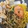 Cooksnap dari Kalis Prahara untuk resep Lontong Mie Surabaya