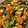Cooksnap clara rina semasa beliau membuat Roasted Vegetables with Herbs.