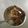 Joshua Sans's cooksnap of when they made Crispy beef chilli with egg fried rice.