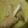 Cooksnap dari Umma_ untuk resep Gule kambing