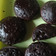 Cooksnap dari Erna Wati untuk resep Kue Balok Brownies Lumer