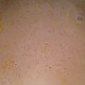 El cooksnap de Jamilee Closs Endler cuando hizo Arroz con leche súper fácil.