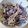 El cooksnap de AnaLi cuando hizo Ensalada de col morada y blanca.