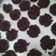 Cooksnap dari NENENG FITRIA untuk resep Cookies coklat ala goodtime