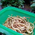 Cooksnap dari Iip Latipah untuk resep Stik Keju Renyah