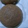 Cooksnap dari wijayanti hutabarat untuk resep Roti boy garing diluar empuk didlm.