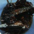 Cooksnap dari tama wibi untuk resep Ikan Tongkol bumbu kecap untuk balita
