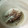 El cooksnap de Ana cuando hizo Quinoa con leche de coco.