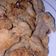 Cooksnap dari Nadia Lisna Dewi untuk resep 23. Kulit Ayam Goreng Tepung Crispy #SelasaBisa