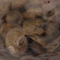 Pearl Perez-Crooks's cooksnap of when they made Easy chocolate chip cookies.