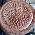 El cooksnap de Evelin Veronica Silva cuando hizo Bizcochuelo casero de chocolate.