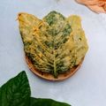 Cooksnap dari fransiska arie untuk resep (167) Keripik / Peyek Bayam