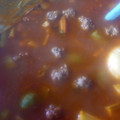 El cooksnap de Fatima Moreno cuando hizo 💠Caldo de albóndigas 💠.