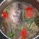 Cooksnap dari Eka Nath untuk resep 260. Sup Kepala Ikan Salmon