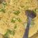 Archna Jain का कुकस्नैप जब उन्होंने इंस्टेंट मैगी (Instant Maggi recipe in Hindi) बनाया था।