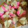 Cooksnap dari Petrimayenti Petri untuk resep Bolu kukus mekar