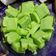 Cooksnap dari Agustin Ferdiana untuk resep Bolu pandan kukus lembut menul menul