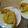 Reshmi Deb's cooksnap of when they made সর্ষে পাবদা (sorse panda recipe in bengali).