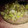 El cooksnap de Danymor cuando hizo Ensalada de lentejas con lechuga.