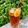 𝒳𝓇𝓊𝓈𝑜𝓊𝓁𝒶 𝒦𝑜𝓃𝓉𝑜𝓅𝑜𝓊𝓁𝑜𝓊's cooksnap of when they made Unsweetened Iced Tea.