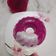 Cooksnap dari Eko Lilis untuk resep Agar-agar buah Naga Merah