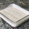 Cooksnap Katarzyna Mroczek z czasów, kiedy przygotował Sernik wegański (bez pieczenia).