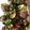ladyinwc1's cooksnap of when they made Sautéed Brussels Sprouts With Bacon And Garlic.