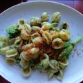 il Vania quando ha preparato Orecchiette broccoli e salsiccia