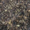 Cooksnap dari Anna untuk resep Granola Coklat Banget